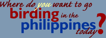 Where do you want to go birding birdwatching in the Philippines today?