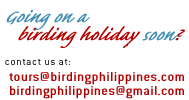 Going on a birding / birdwatching holiday in the Philippines? Email us!