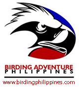 Visit us at www.birdingphilippines.com