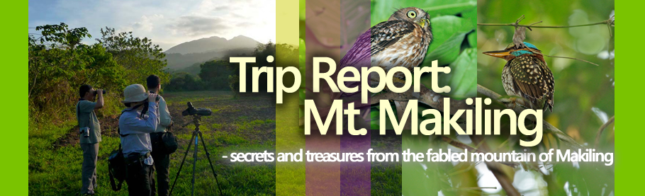 Trip Report: Mt. Makiling