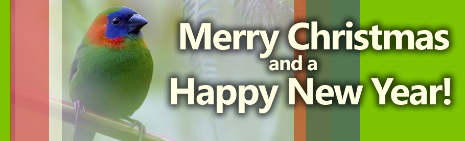 Merry Christmas and a Happy New Year!
