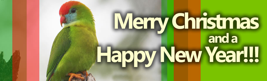 Merry Christmas and a Happy New Year!!!