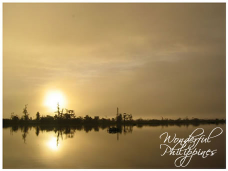 Beautiful sunrise in a birdwatching trip in Agusan Marsh, Philippines. Photo by Trinket Canlas/Birding Adventure Philippines 